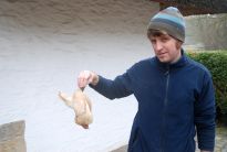 Tierpfleger Christian Panhorst hält das toten Zierhuhn.