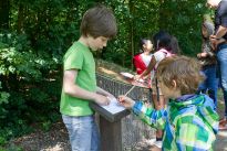 Umweltbildung für Schulklassen und Kindergärten in Bürgerpark und Stadtwald