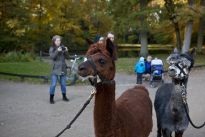 Sicherheitsabstand einhalten