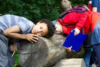 Sommerferienprogramm, Foto: Bürgerparkverein