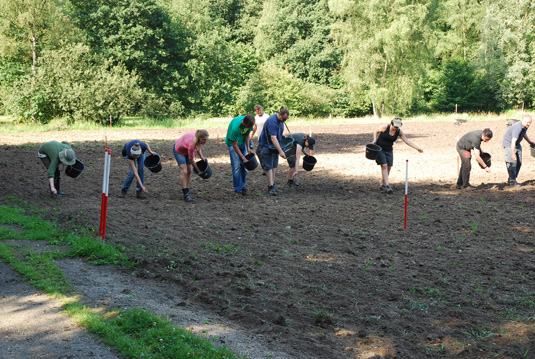 Ansaat der Kräuter und Blumen auf der vorbereiteten Wiese.