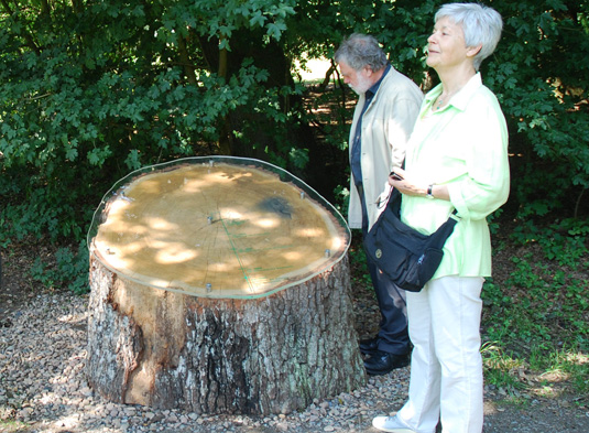 Die Plexiglasplatte auf der Baumscheibe erzählt viel über die Geschichte des Bremer Bürgerparks