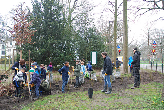 Schülerinnen und Schüler pflanzen Sträucher im Bürgerpark